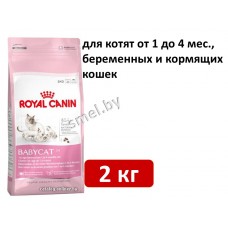 Royal Canin Babycat 2 кг