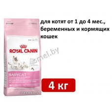 Royal Canin Babycat 4 кг